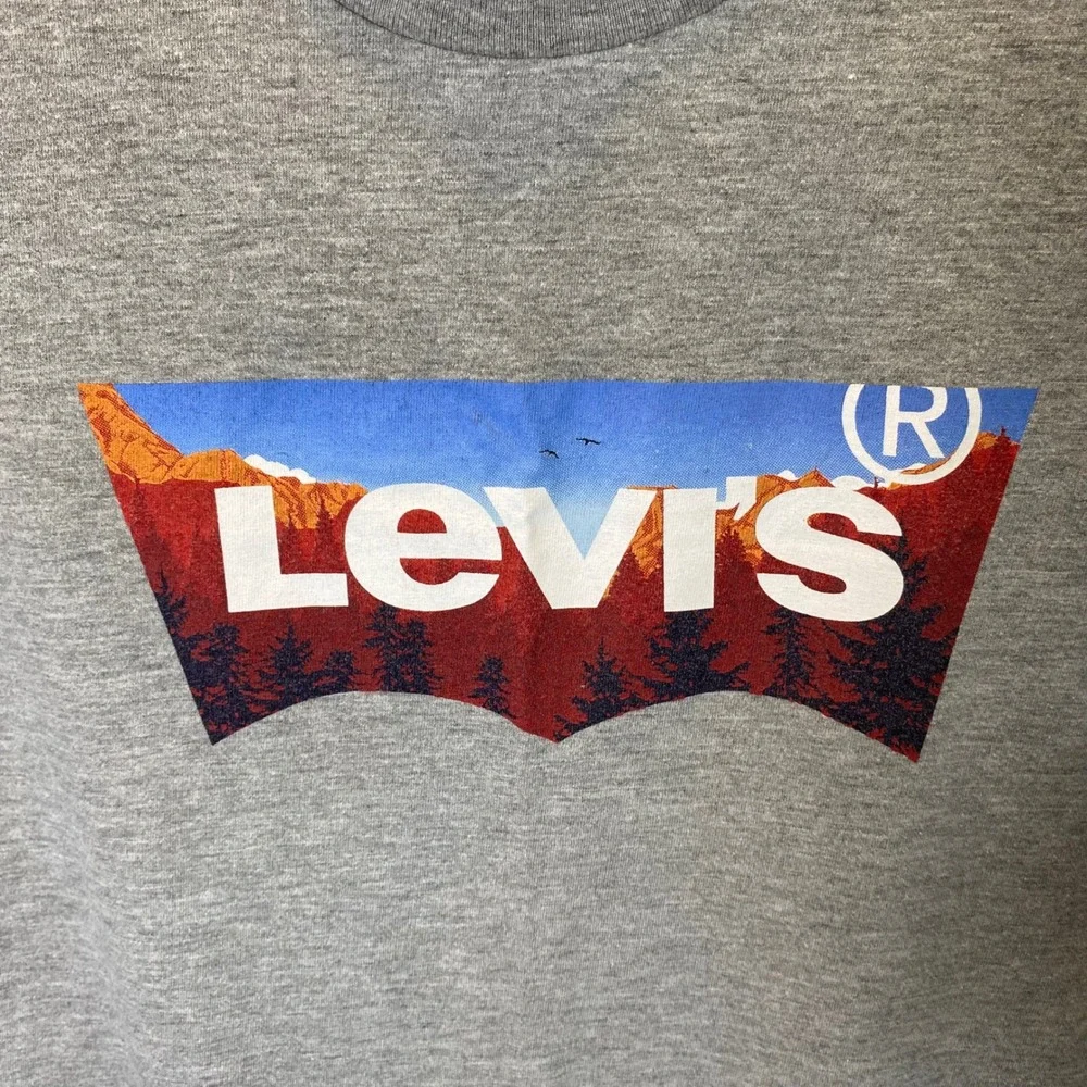 Levi's Graphic T-Shirt Mens Large Heather Grey Logo‎ Casual Everyday Outdoors